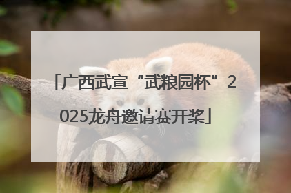 广西武宣“武粮园杯”2025龙舟邀请赛开桨