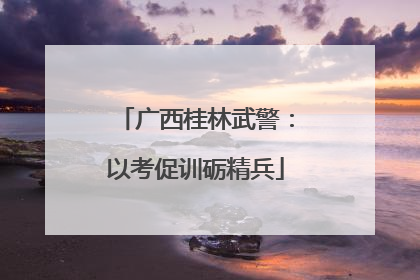 广西桂林武警：以考促训砺精兵