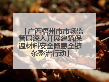 广西梧州市市场监管局深入开展建筑保温材料安全隐患全链条整治行动