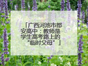 广西河池市都安高中：教师是学生高考路上的“临时父母”