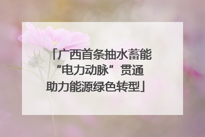 广西首条抽水蓄能“电力动脉”贯通 助力能源绿色转型