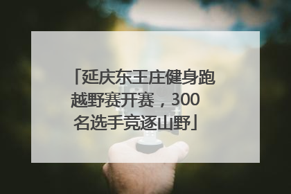 延庆东王庄健身跑越野赛开赛，300名选手竞逐山野