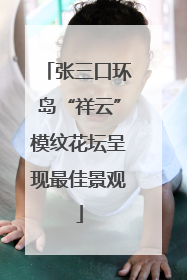 张三口环岛“祥云”模纹花坛呈现最佳景观