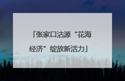 张家口沽源“花海经济”绽放新活力