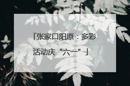 张家口阳原：多彩活动庆“六一”