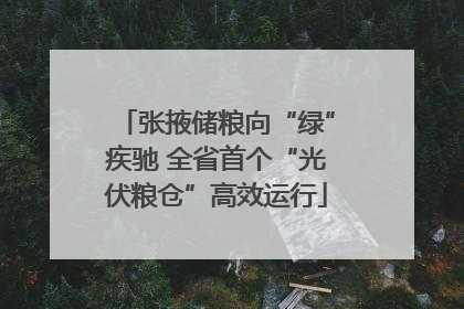 张掖储粮向“绿”疾驰 全省首个“光伏粮仓”高效运行