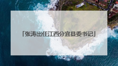 张涛出任江西分宜县委书记