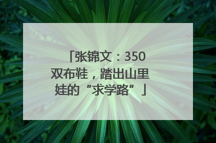 张锦文：350双布鞋，踏出山里娃的“求学路”