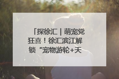 探徐汇｜萌宠党狂喜！徐汇滨江解锁“宠物游轮+天台乐园”双玩法