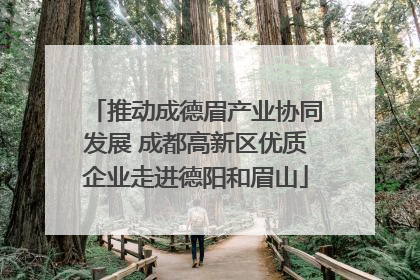 推动成德眉产业协同发展 成都高新区优质企业走进德阳和眉山
