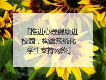 推进心理健康进校园，构建系统化学生支持网络