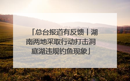 总台报道有反馈丨湖南两地采取行动打击洞庭湖违规钓鱼现象