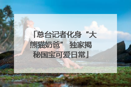 总台记者化身“大熊猫奶爸” 独家揭秘国宝可爱日常