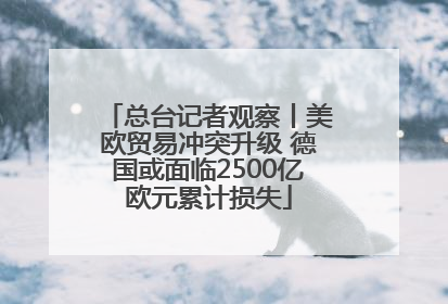 总台记者观察丨美欧贸易冲突升级 德国或面临2500亿欧元累计损失