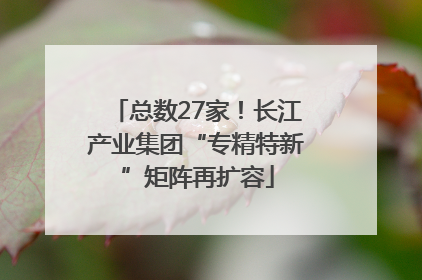 总数27家！长江产业集团“专精特新”矩阵再扩容