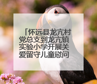 怀远县龙亢村党总支到龙亢镇实验小学开展关爱留守儿童慰问活动