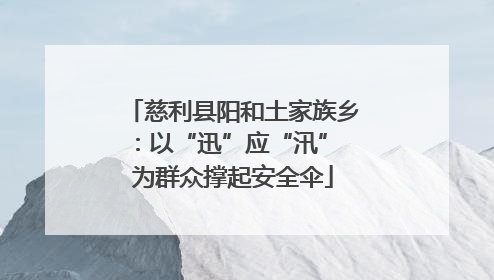 慈利县阳和土家族乡：以“迅”应“汛” 为群众撑起安全伞