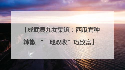 成武县九女集镇：西瓜套种辣椒 “一地双收”巧致富