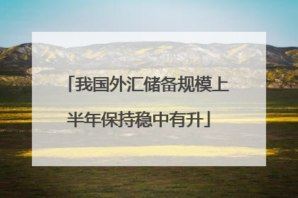 我国外汇储备规模上半年保持稳中有升