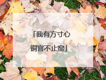 我有方寸心 铜官不止窑