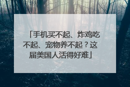 手机买不起、炸鸡吃不起、宠物养不起？这届美国人活得好难