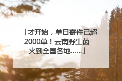 才开始，单日寄件已超2000单！云南野生菌火到全国各地……