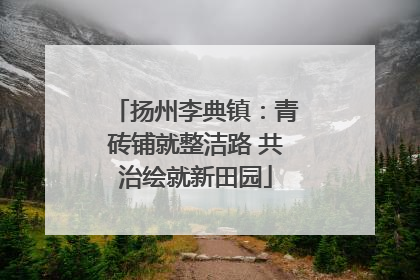 扬州李典镇：青砖铺就整洁路 共治绘就新田园