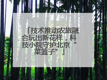 技术推动农旅融合玩出新花样，科技小院守护北京“菜篮子”
