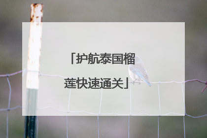 护航泰国榴莲快速通关