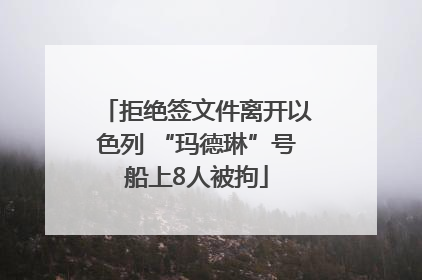 拒绝签文件离开以色列 “玛德琳”号船上8人被拘
