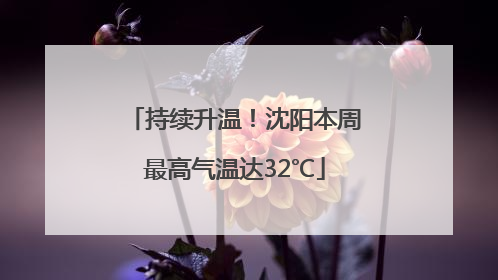 持续升温！沈阳本周最高气温达32℃