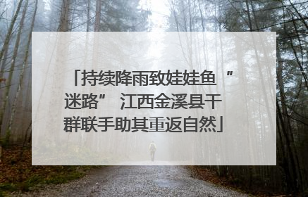 持续降雨致娃娃鱼“迷路” 江西金溪县干群联手助其重返自然