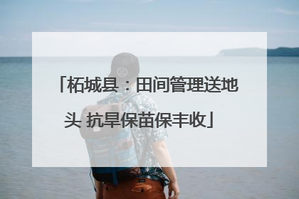 柘城县：田间管理送地头 抗旱保苗保丰收