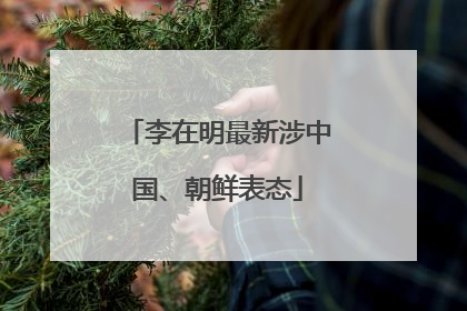 李在明最新涉中国、朝鲜表态