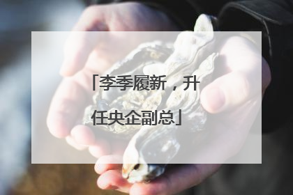 李季履新，升任央企副总