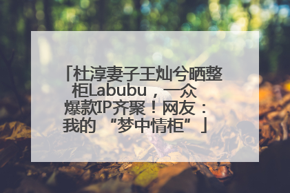 杜淳妻子王灿兮晒整柜Labubu，一众爆款IP齐聚！网友：我的 “梦中情柜”