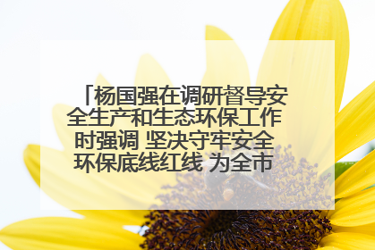 杨国强在调研督导安全生产和生态环保工作时强调 坚决守牢安全环保底线红线 为全市经济社会高质量发展提供坚强保障