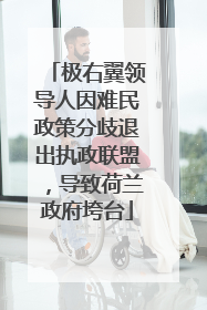 极右翼领导人因难民政策分歧退出执政联盟，导致荷兰政府垮台