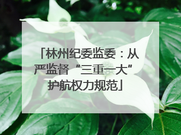 林州纪委监委：从严监督“三重一大” 护航权力规范