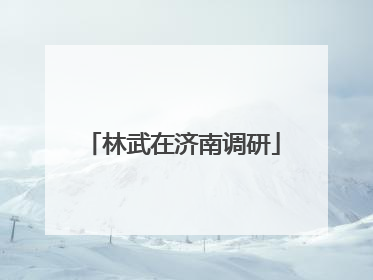 林武在济南调研