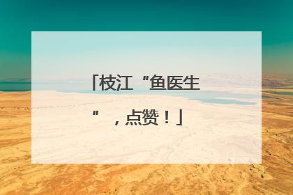 枝江“鱼医生”，点赞！
