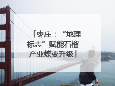枣庄：“地理标志”赋能石榴产业蝶变升级