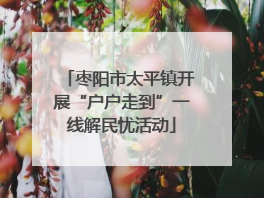 枣阳市太平镇开展“户户走到”一线解民忧活动