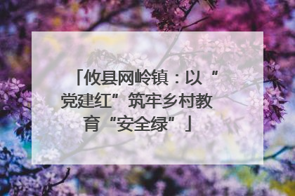 攸县网岭镇：以“党建红”筑牢乡村教育“安全绿”
