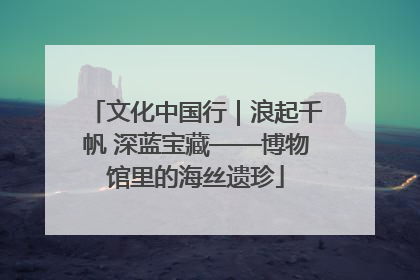 文化中国行｜浪起千帆 深蓝宝藏——博物馆里的海丝遗珍
