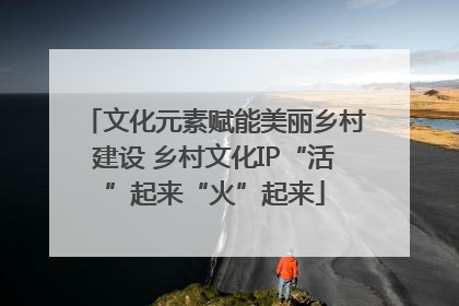 文化元素赋能美丽乡村建设 乡村文化IP“活”起来“火”起来