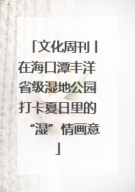 文化周刊丨在海口潭丰洋省级湿地公园打卡夏日里的“湿”情画意