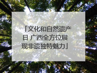 文化和自然遗产日 广西全方位展现非遗独特魅力