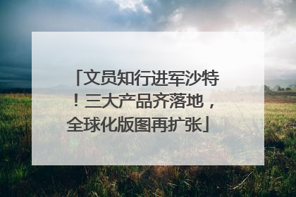 文员知行进军沙特！三大产品齐落地，全球化版图再扩张