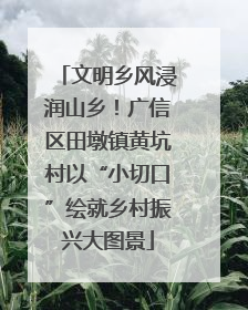 文明乡风浸润山乡！广信区田墩镇黄坑村以“小切口”绘就乡村振兴大图景